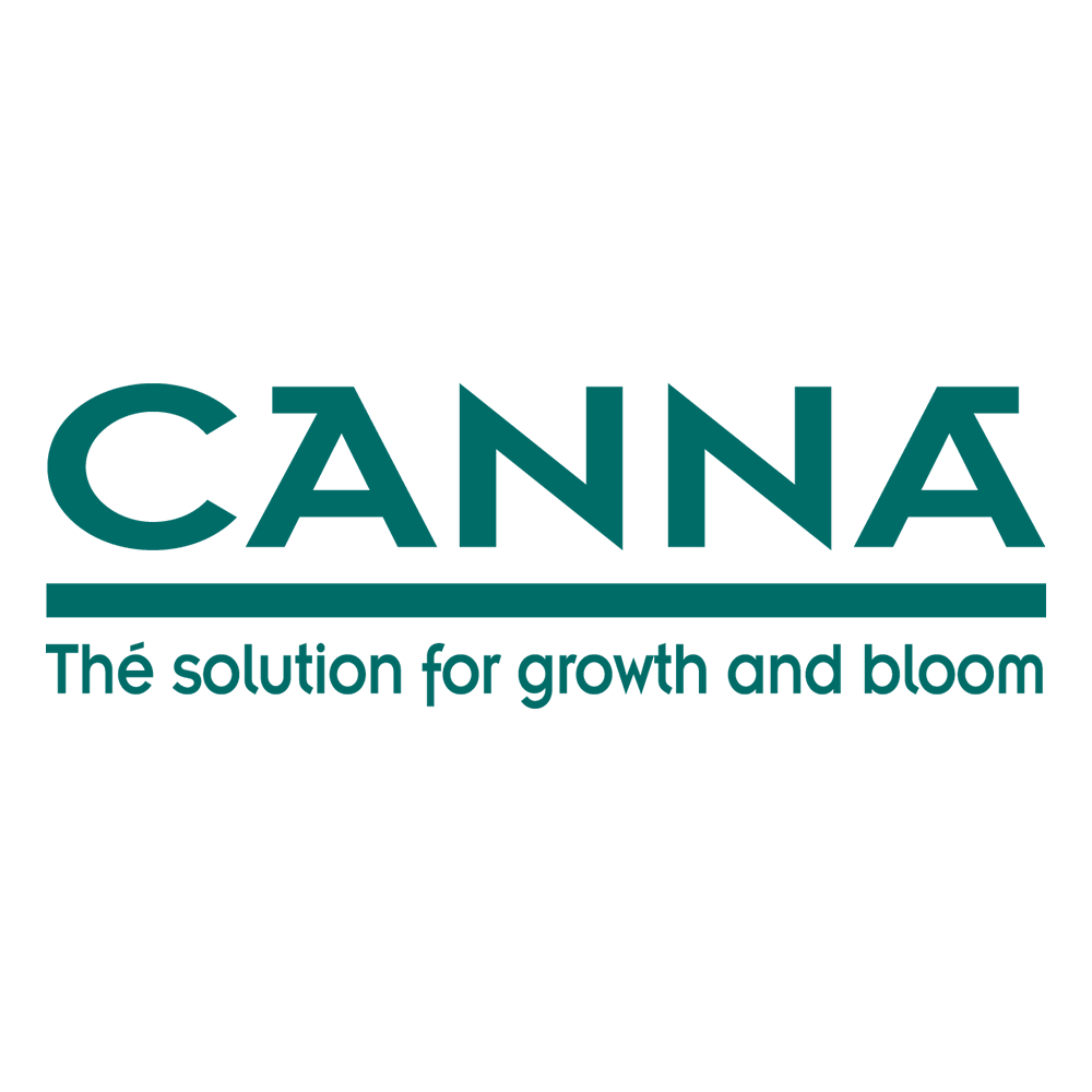 Canna