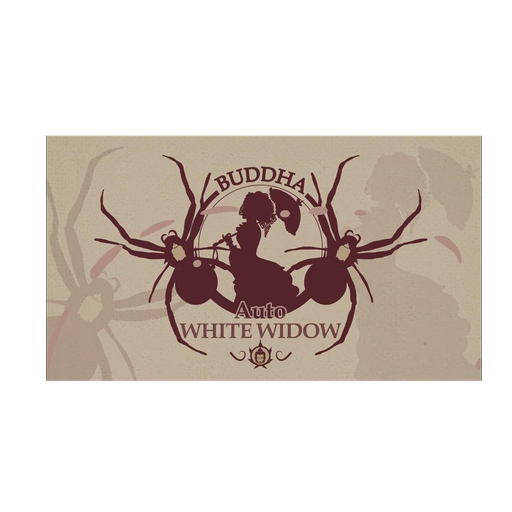 BUDDHA SEEDS WHITE WIDOW AUTO X3