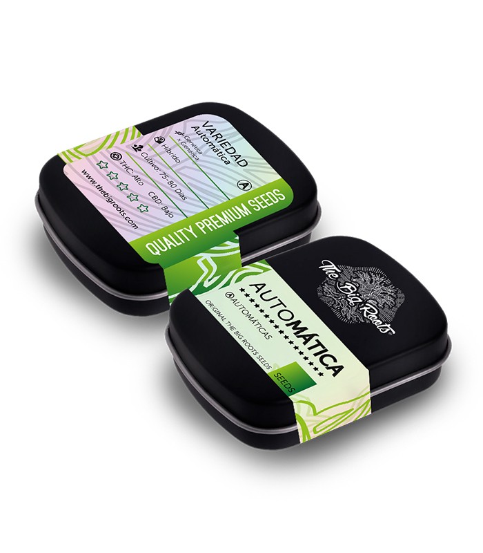 TBR BIG MOBY DICK AUTO 3+2