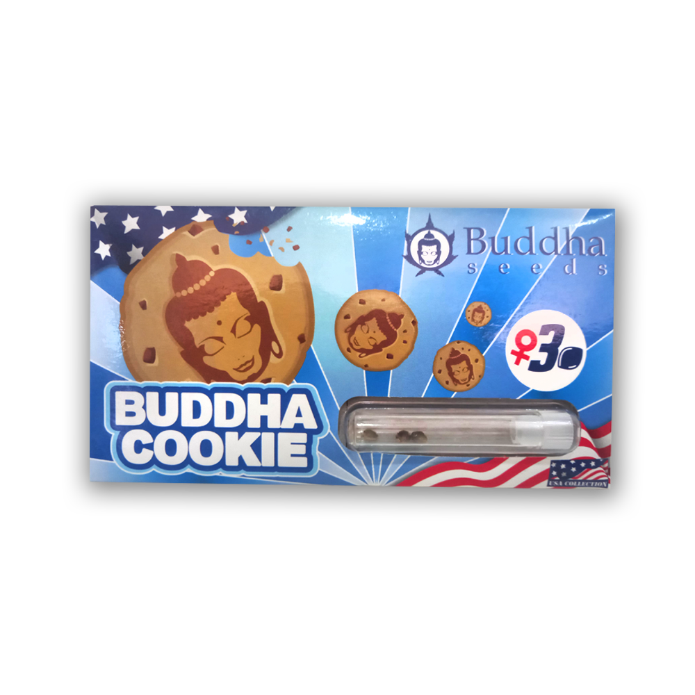 BUDDHA SEEDS COOKIE X3