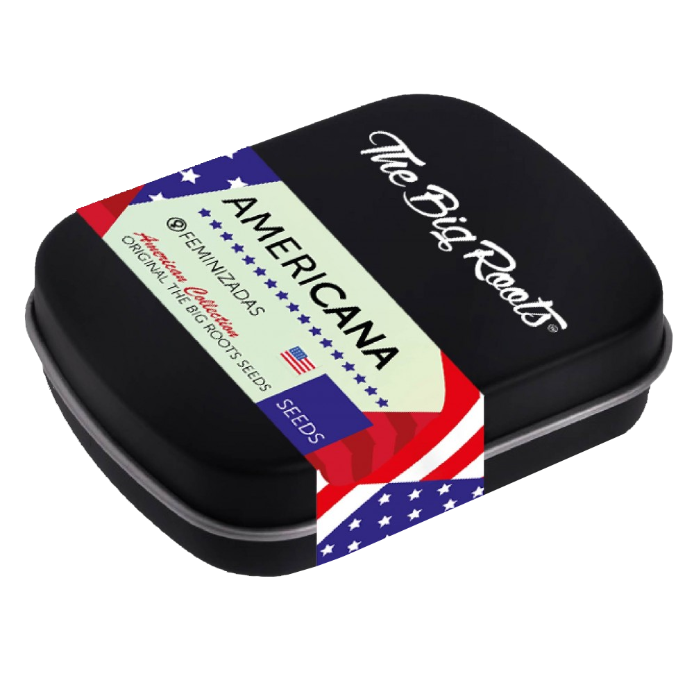 TBR MIX ROOTS AMERICANAS X12