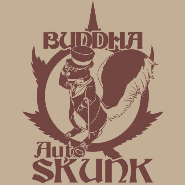 BUDDHA AUTO SKUNK CLASSICS X3