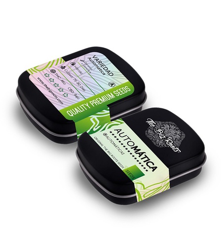 TBR BIG MOBY DICK AUTO 3+2