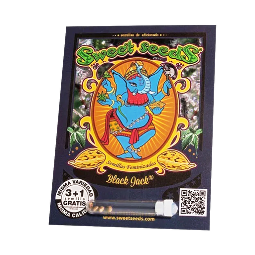 SWEET SEEDS BLACK JACK X3+1