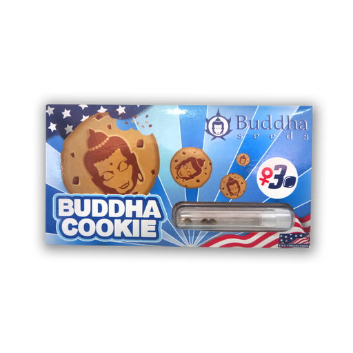 [SCBS011] BUDDHA SEEDS COOKIE X3