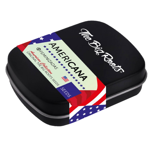 TBR MIX ROOTS AMERICANAS X12