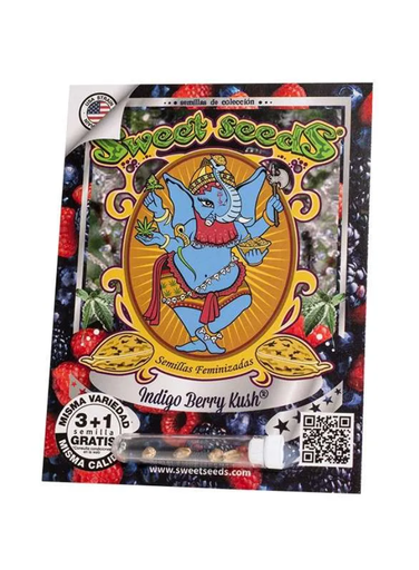 SWEET SEEDS INDIGO BERRY KUSH X3+1
