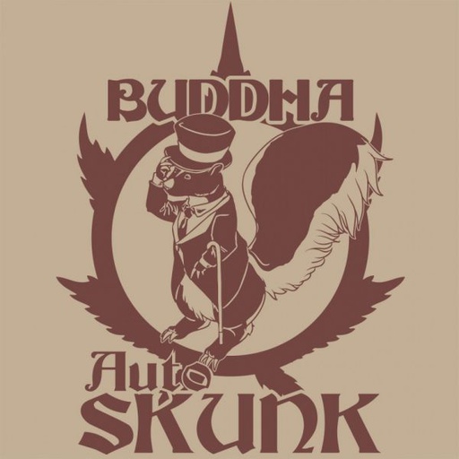 BUDDHA AUTO SKUNK CLASSICS X3