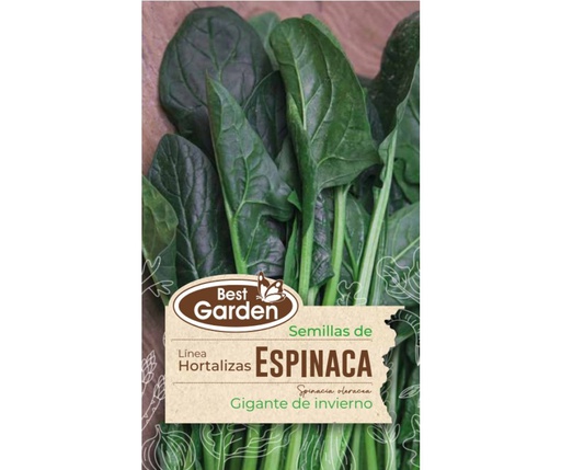 BEST GARDEN SEMILLA ESPINACA