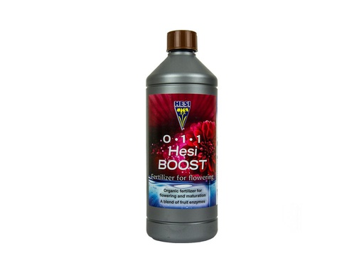 [FTHSI2085] HESI BOOST 100ML